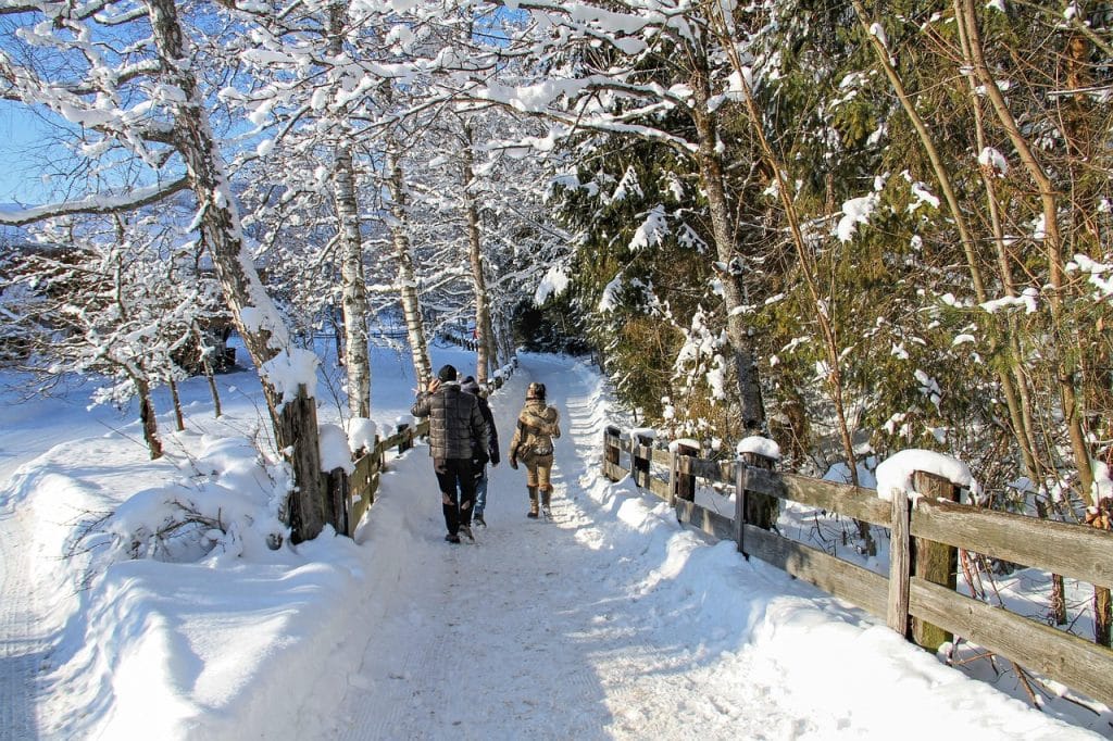 mobilite-malgre-le-froid