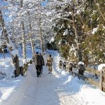 mobilite-malgre-le-froid